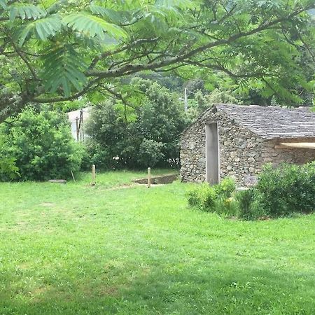 Olivetu Villa Sisco Dış mekan fotoğraf